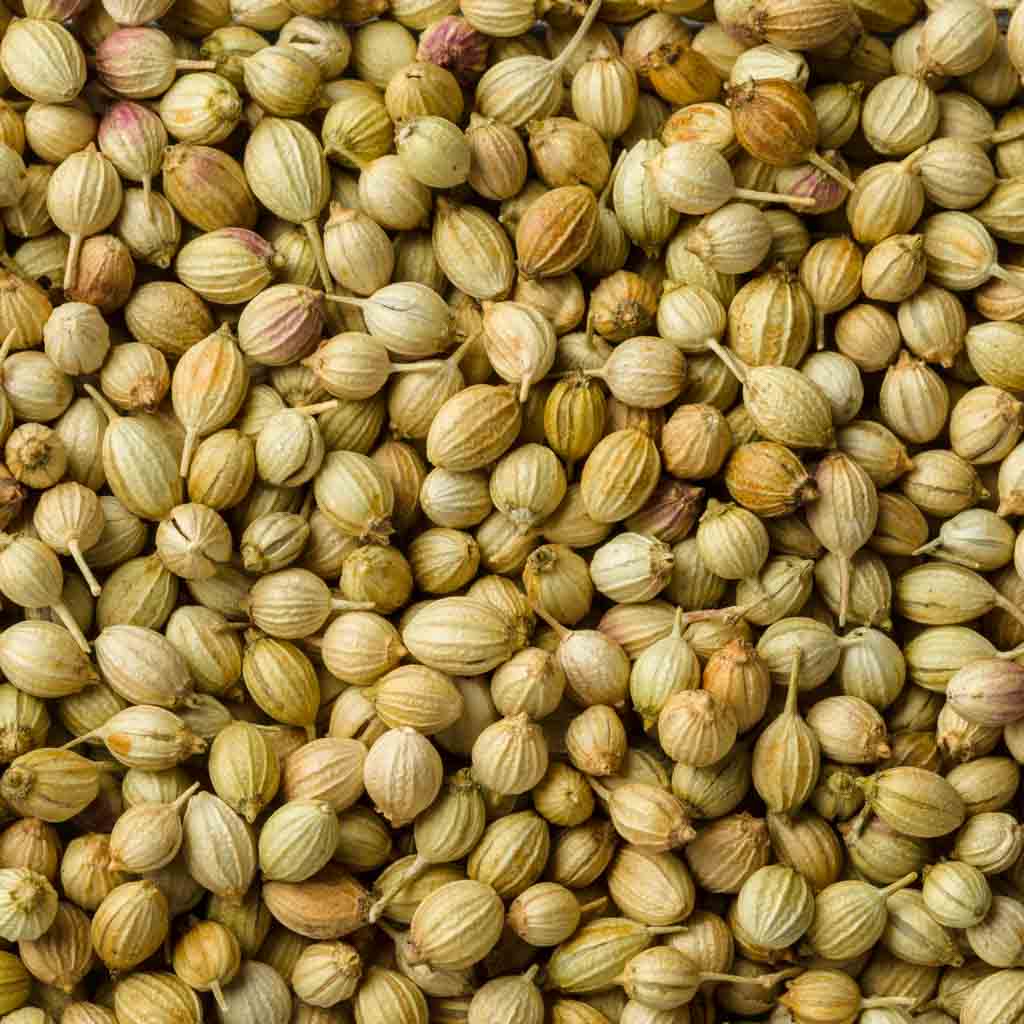 Whole Coriander Seeds (200g)