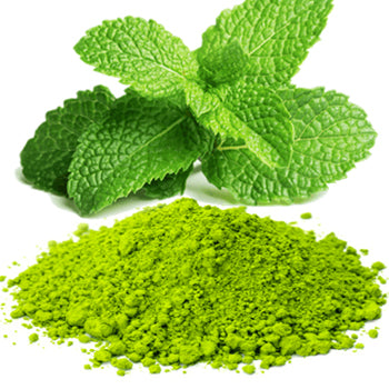 AVANTI FOODS Natural & Pure Mint Powder, Dehydrated, Ground, 227g, for Cooking, Drinks, Seasoning & Sauces, Vegan, No Preservatives