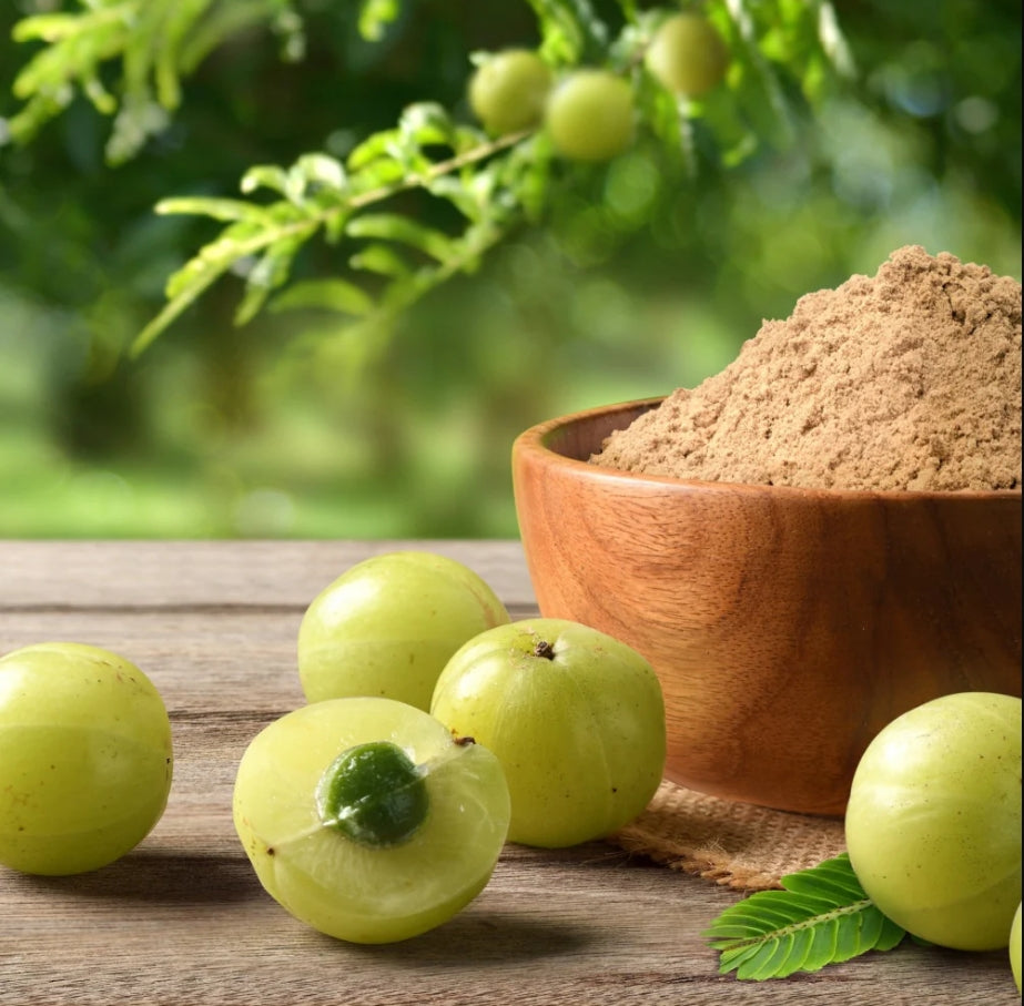 Amla Powder Indian Gooseberry Powder | Smoothies, Drinks, Recipes & Herbal Use | Vegan Friendly | No Added Preservatives | Premium Amla Fruit Powder