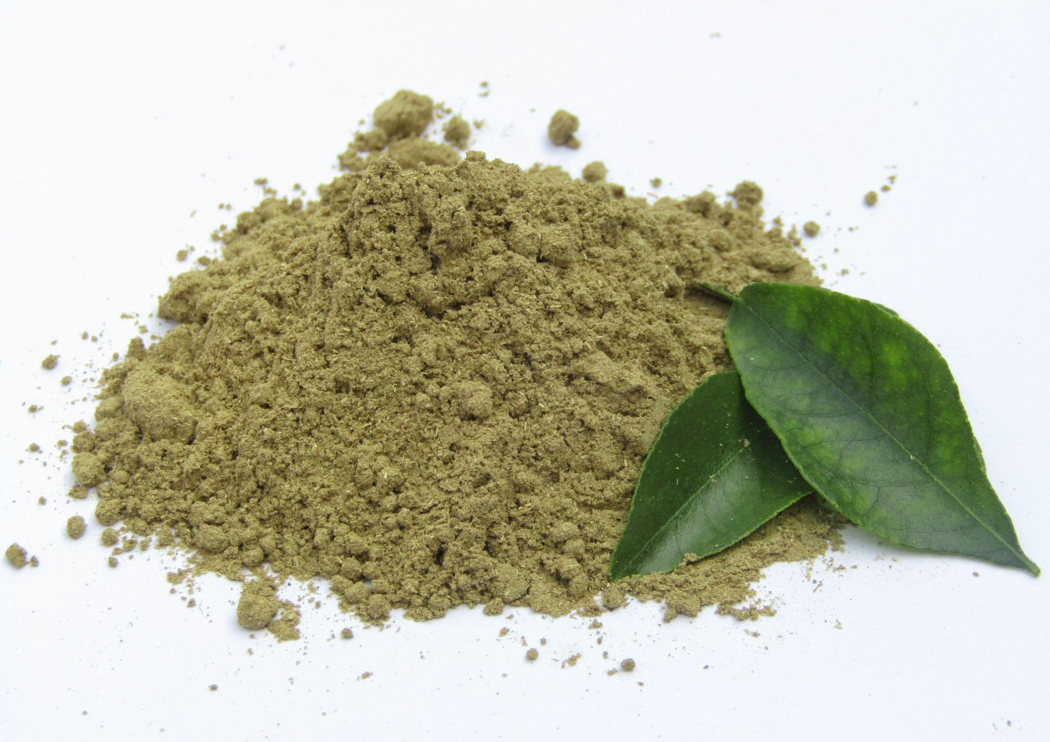 AVANTI FOODS Curry Leaves Powder, Ground, 100% Natural, Vegan, No Preservatives, for Cooking, Seasoning, Curries and Chutneys, 227g