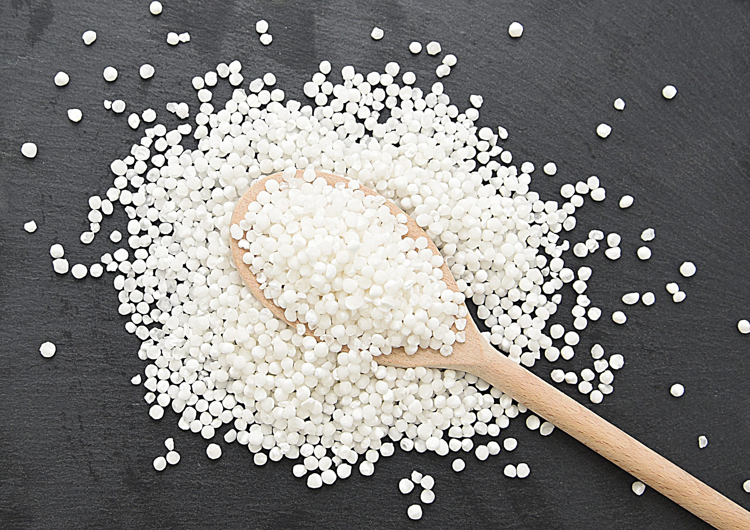 Sago Seeds - Indian (Medium)