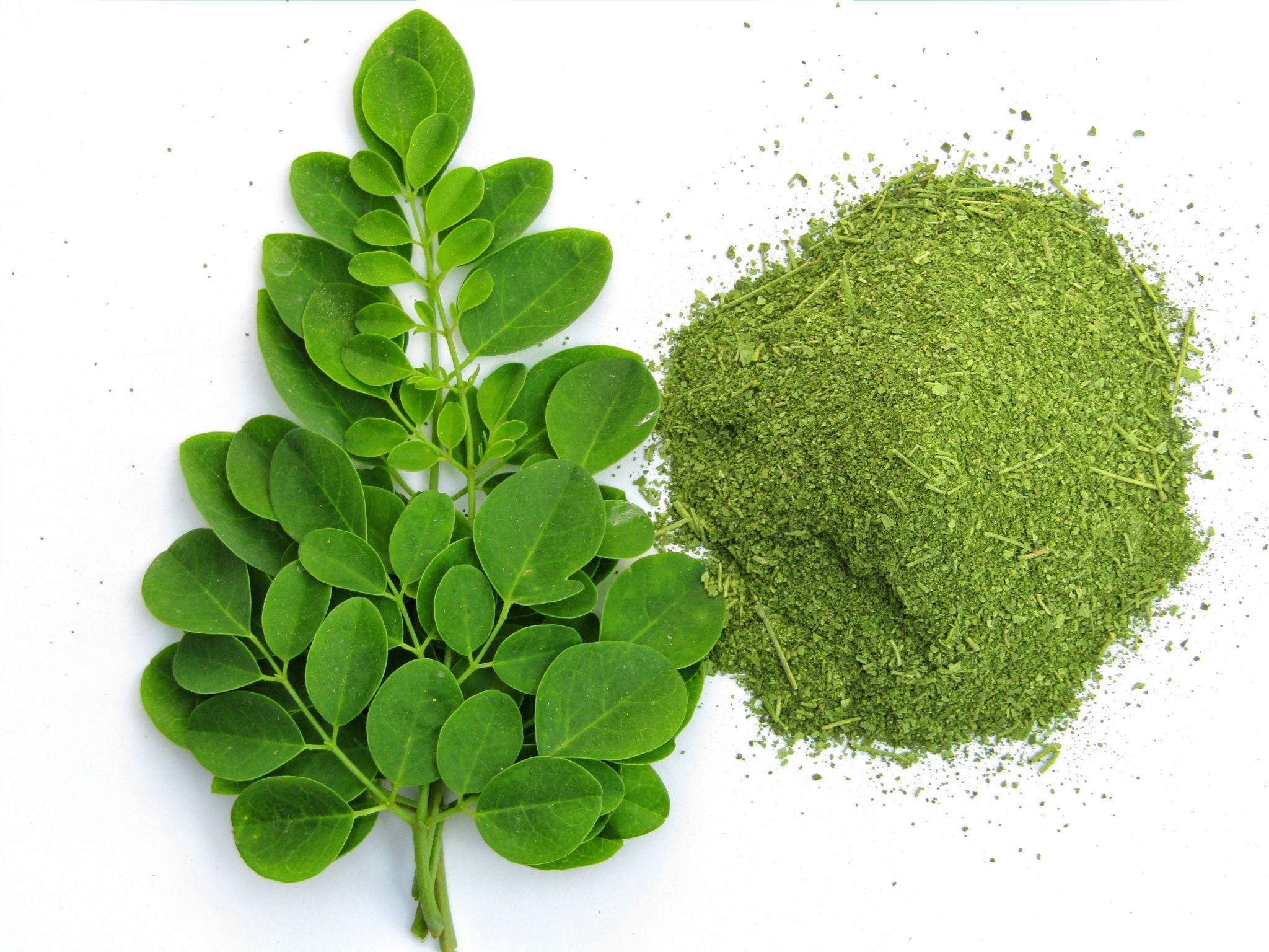 Moringa Powder 100% Natural Moringa Leaf Powder | Smoothies, Tea, Cooking & Baking | Vegan Friendly | No Added Preservatives | Premium Green Superfood Powder
