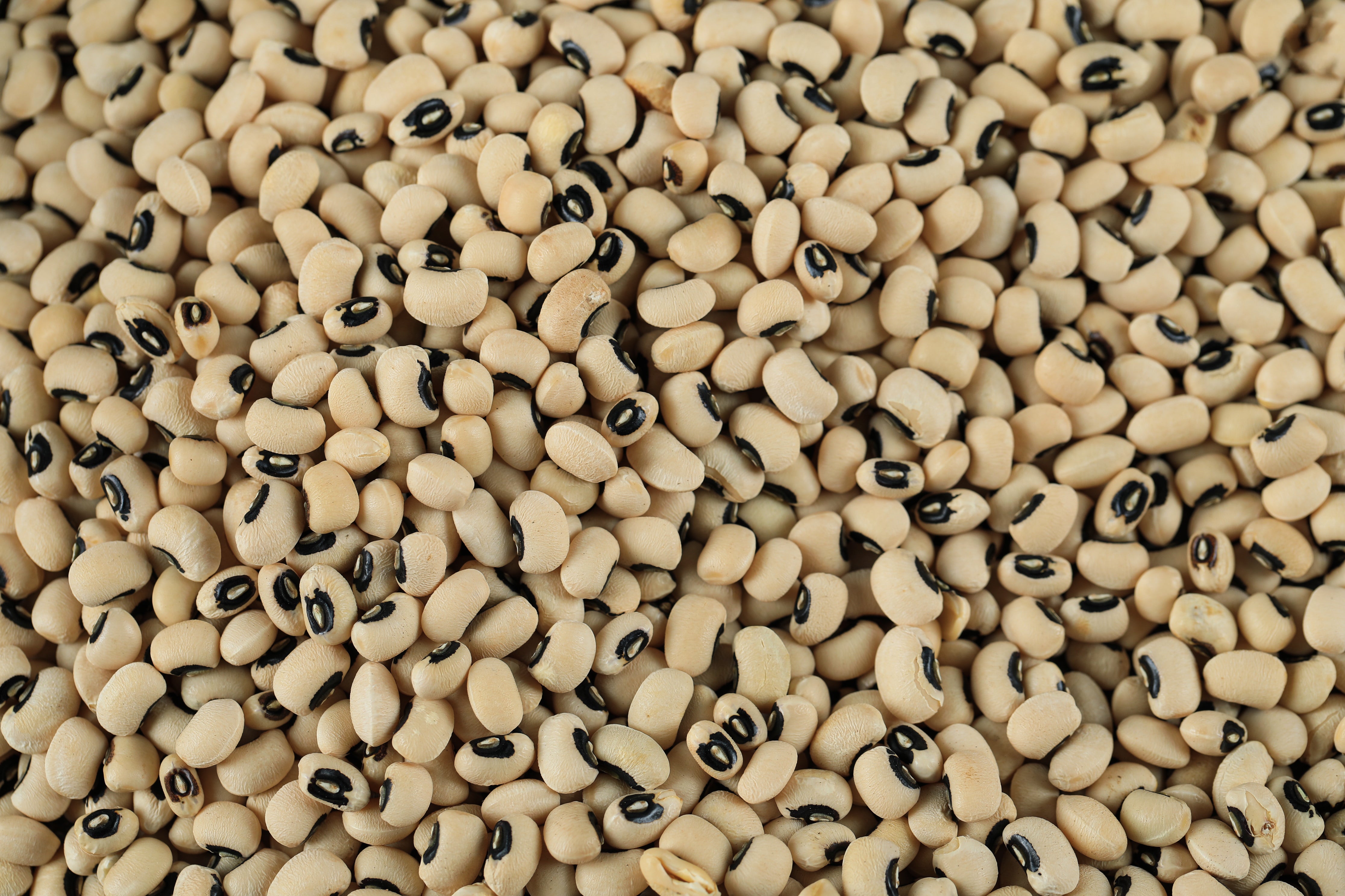 Black Eyed Beans (White Chowri)